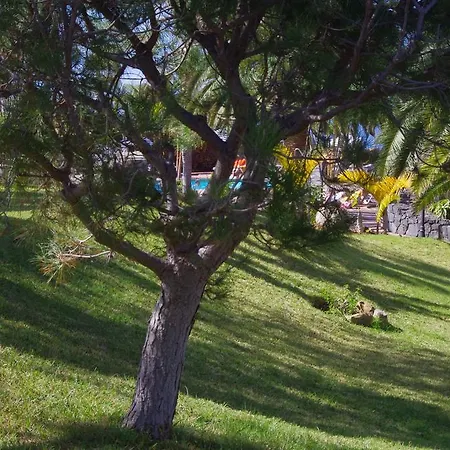 Apartment Playa De Roques *